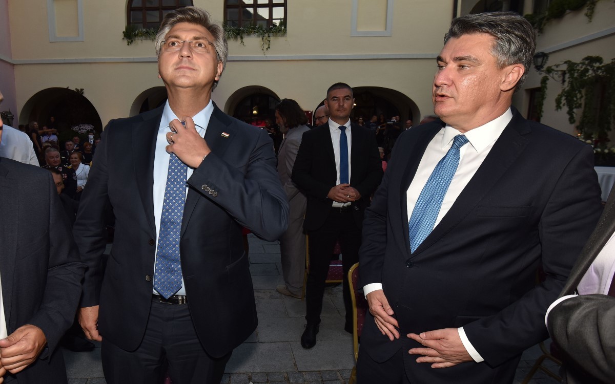 Large plenkovic i milanovic vjeran zganec rogulja