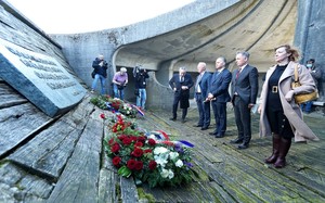 Small jasenovac najnovija