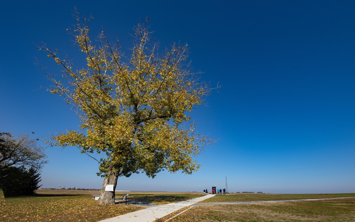 Large vukovar novosti