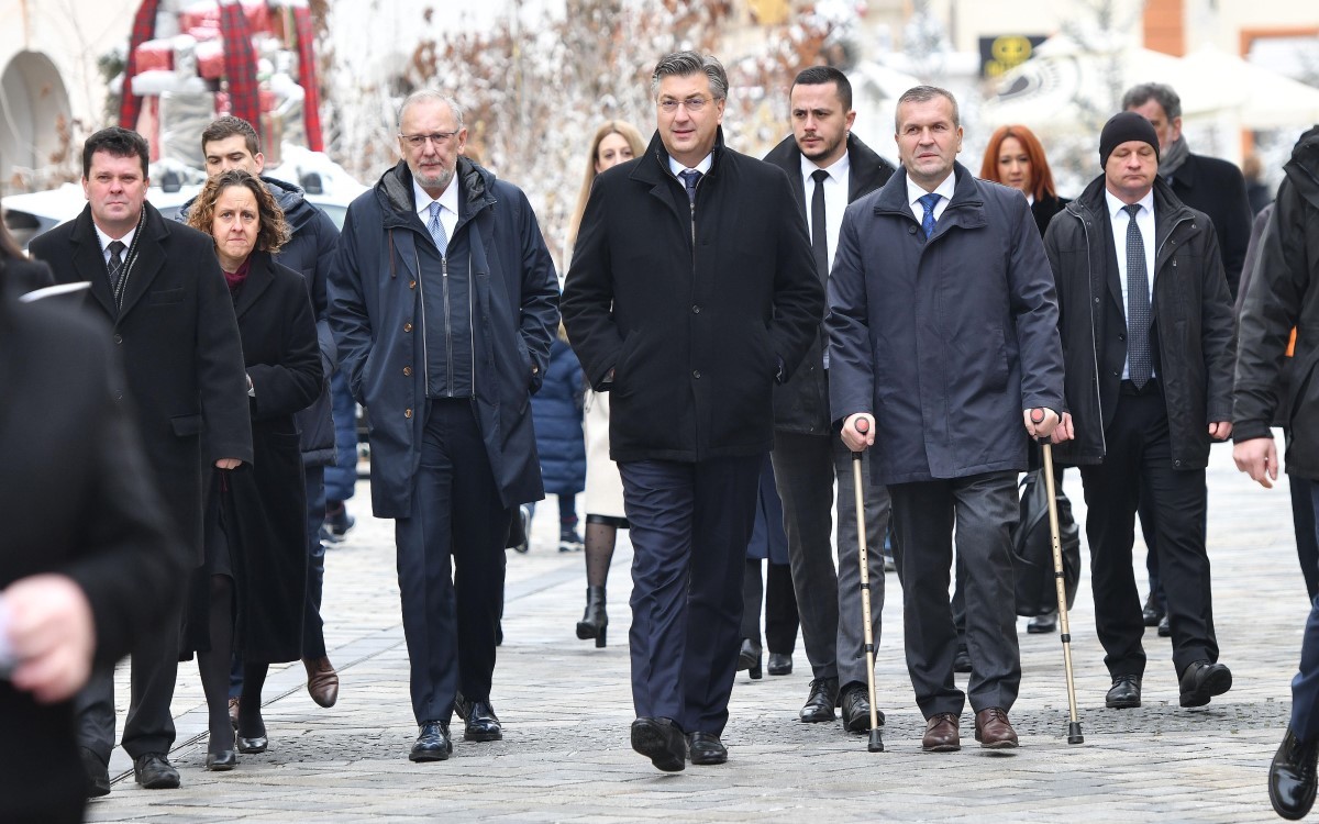 Large plenkovic vjeran zganec rogulja 1