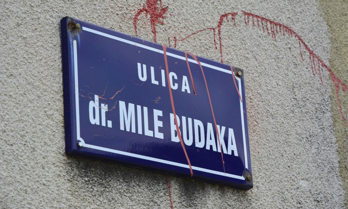 Large budakova ulica