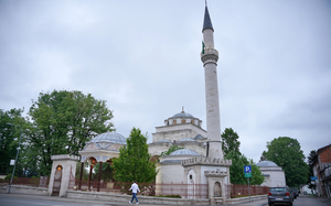 Small hajrudn