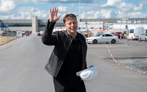 Small musk