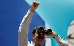 Small maduro