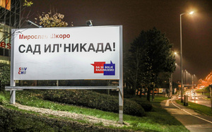 Small sini%c5%a1a vukovi%c4%871