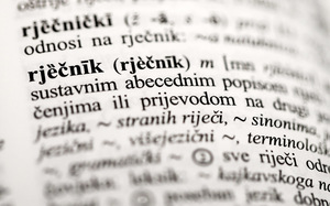 Small hjarudin