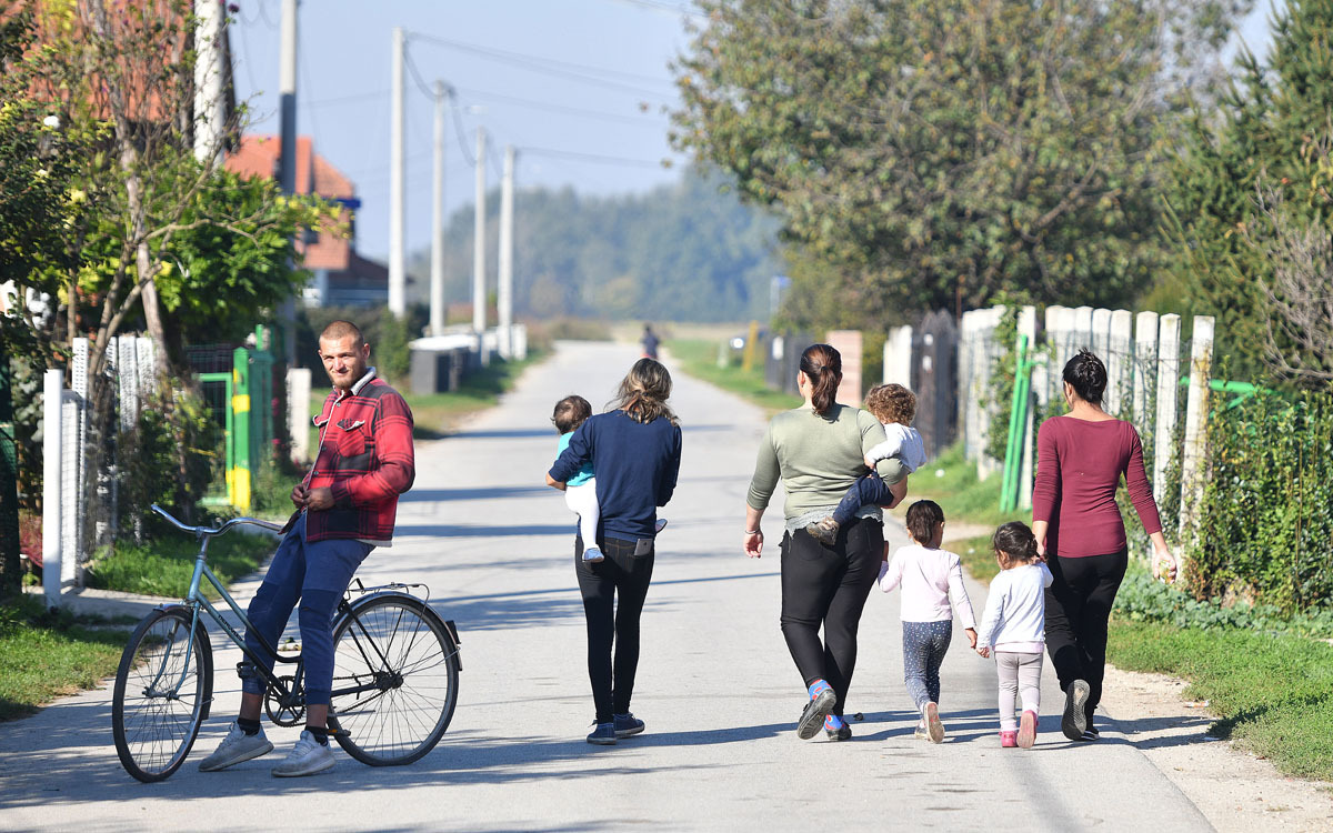 Large 1orehovica vjeran %c5%bdganec rogulja