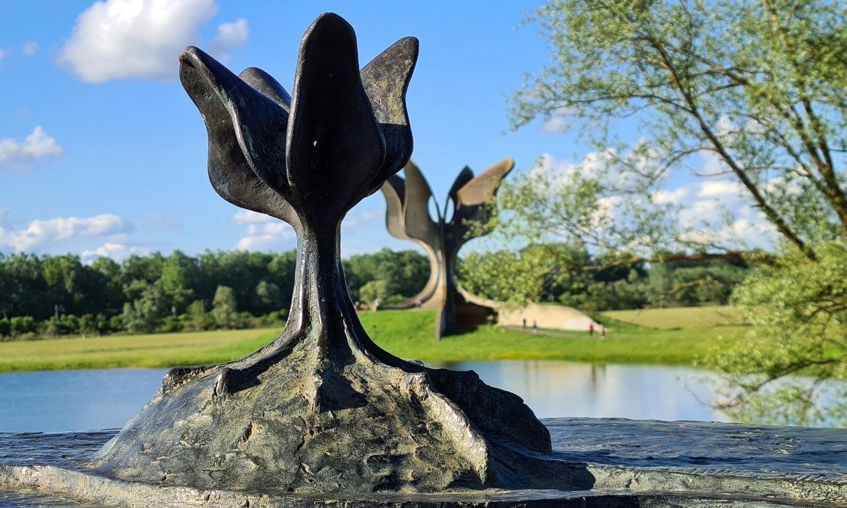 Large jasenovac