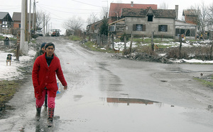 Small a1capra%c5%a1ke poljane nikola %c4%8cutuk