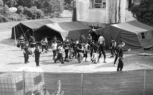 Small gojkovac1