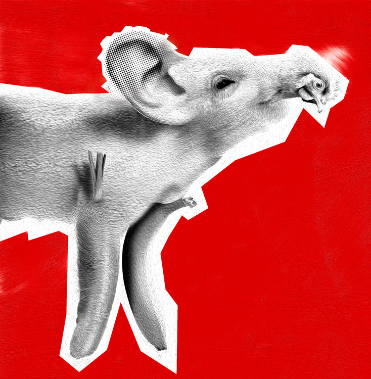 Large d11245 ivica druzak ilustracija svinjica za web