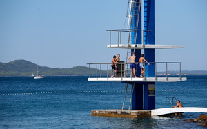 Small t1zadar sime zelic