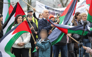 Small prosvjed inicijative za slobodnu palestinu tomislav miletic