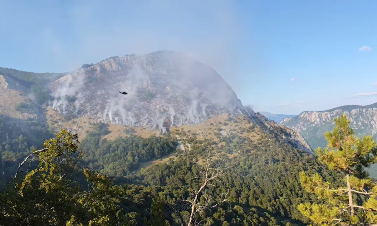 Large sutjeska