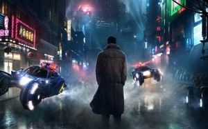 Small large blade runner