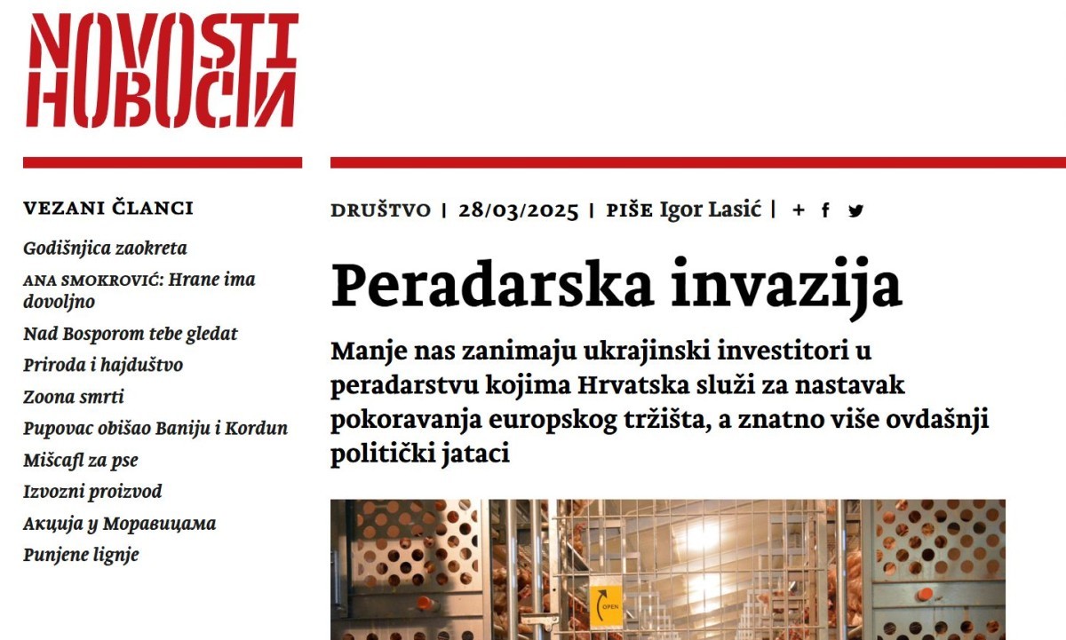 Large novosti fotka