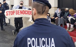 Small policija