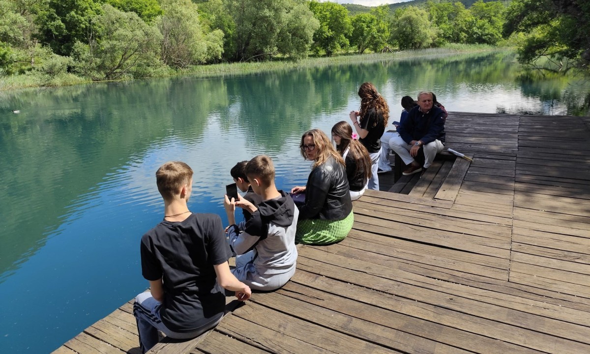 Large krka