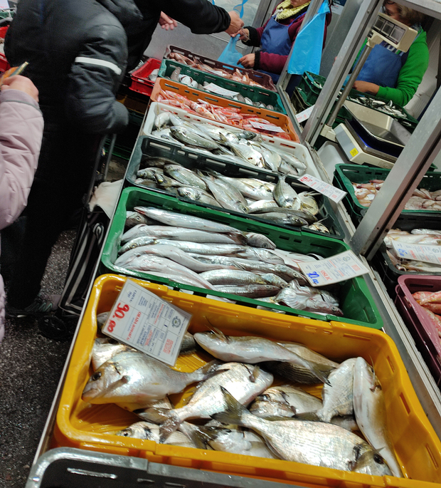 Ribarnica na trešnjevačkoj tržnici (Foto: Dragan Grozdanić)