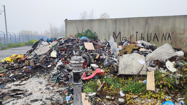 U Strugama su odrasle generacije Roma (Foto: Dragan Grozdanić)