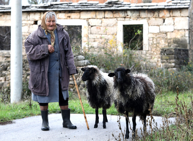 Stana Popović: Bog vas nadario, da ove starce obiđete (Foto: Duško Jaramaz/PIXSELL)