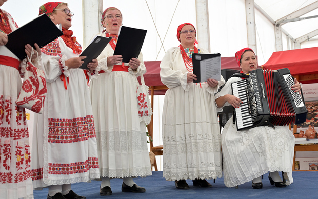 Posjetitelji će i ove godine moći uživati u nastupima lokalnih i gostujućih KUD-ova (Foto: Nina Đurđević)