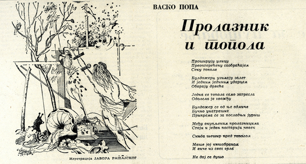 Prvo objavljivanje pjesme Vaska Pope "Prolaznik i topola" na 8. stranici novogodišnjeg broja Borbe 31. 12. 1977 - 2. 1. 1978.