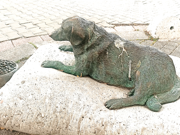 Kip psa Tarçına, koji je na ulicama Kadıköya proveo punih osamnaest godina (Foto: Ivana Perić)