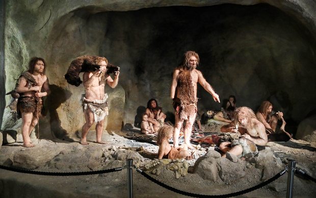 Udio neandertalskog DNK-a u genomu Europljana iznosi oko dva posto (Foto: Željko Hladika/PIXSELL)