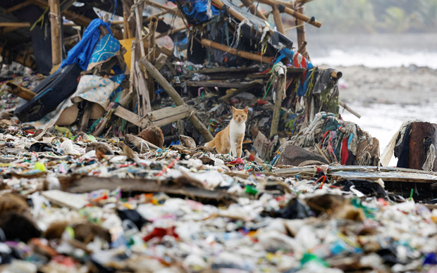 Indonezijsko ribarsko selo zatrpano plastikom koju je nanijela plima (Foto: Willy Kurnawan/REUTERS/PIXSELL)